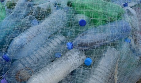 How Can I Reduce Plastic Waste in the Workplace?